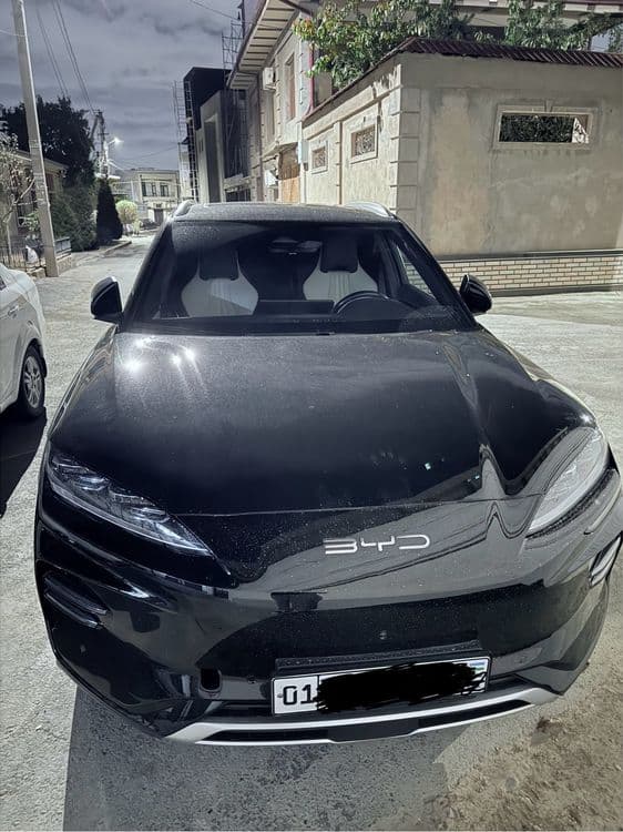 BVD chempion 2023  Rent car — 2