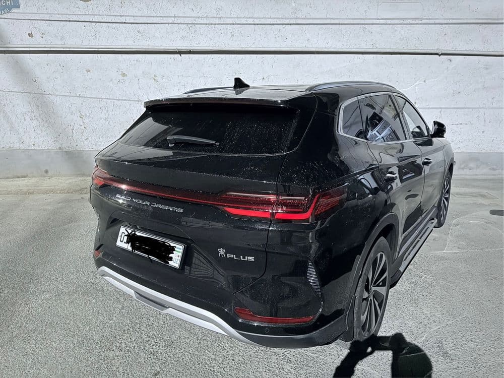 BVD chempion 2023  Rent car — 3