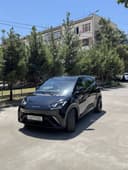 Arenda Byd seagull 405 full