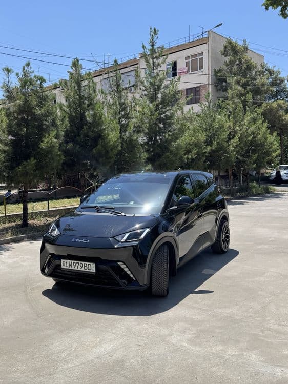 Arenda Byd seagull 405 full — 1