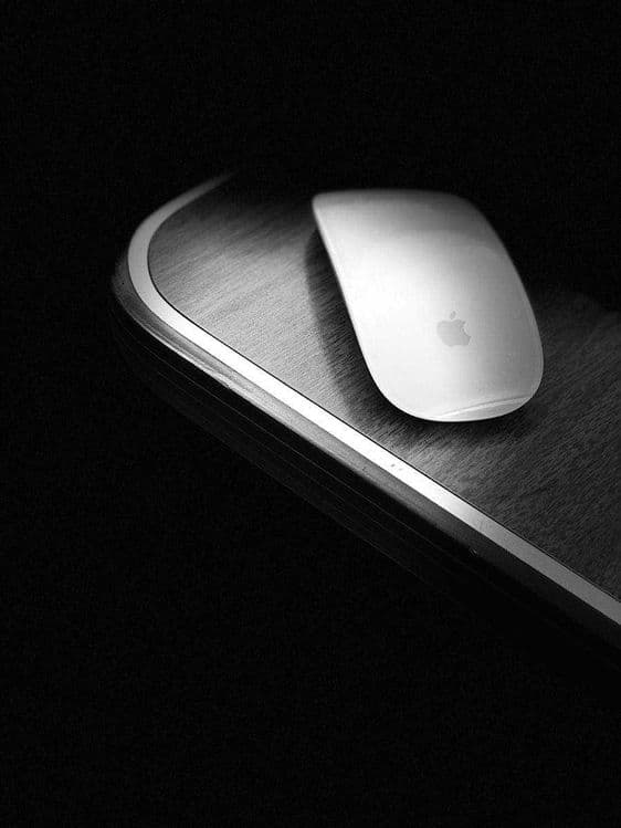 Apple Magic Mouse 4 tyupci org 100% — 3