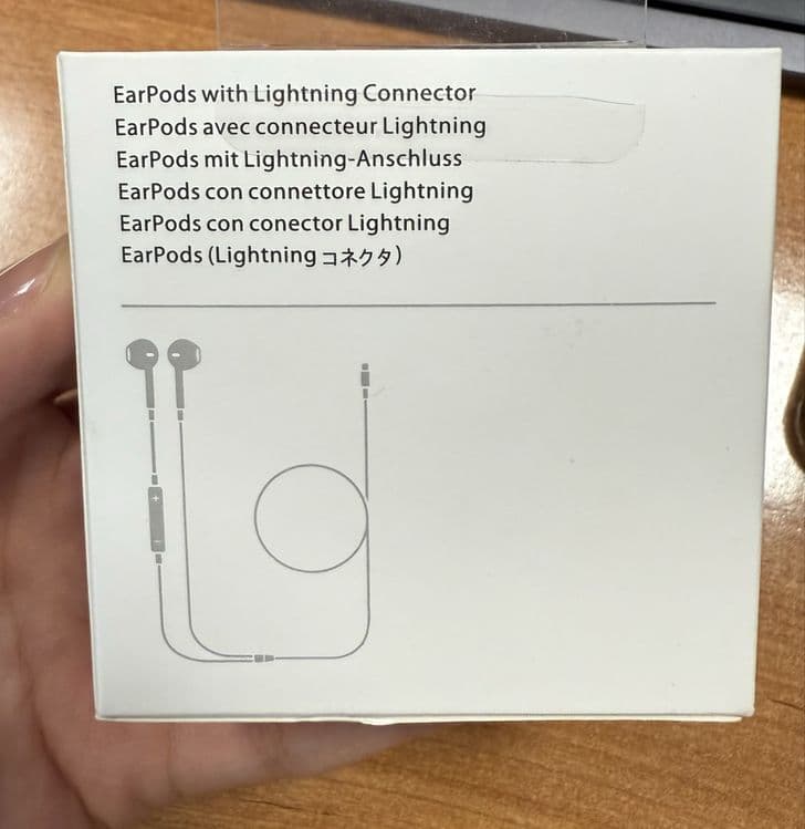 Earpods Lightning Connector for Iphone, Original — 2