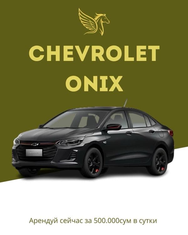 Prokat avto Pegas rent car — 5