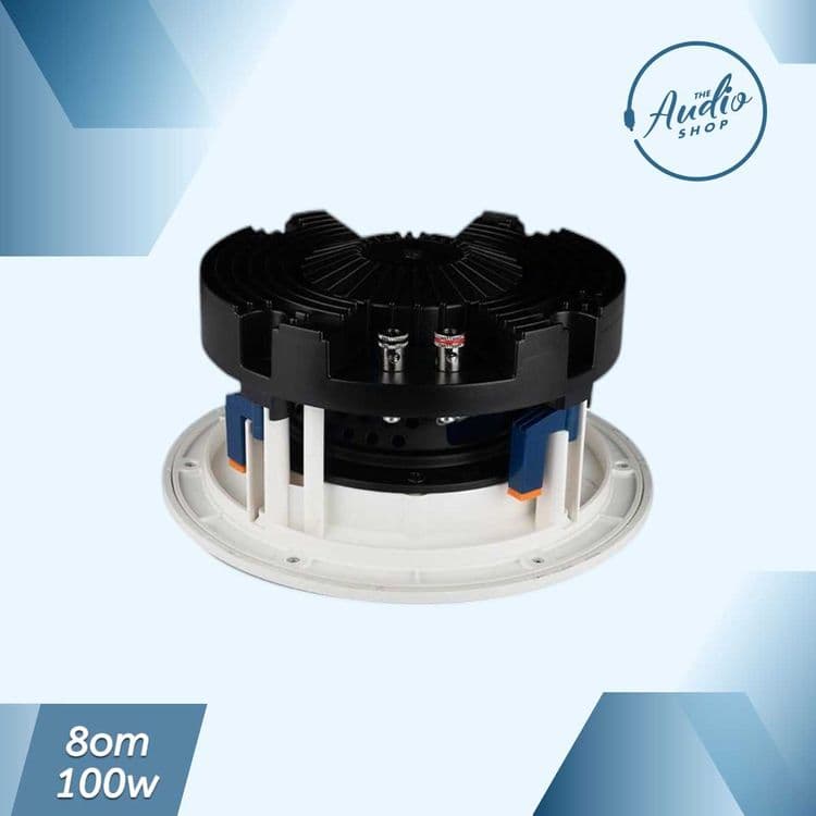 Потолочная колонка K-136 100w 8om — 2