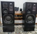 Колонки super sounds s 300