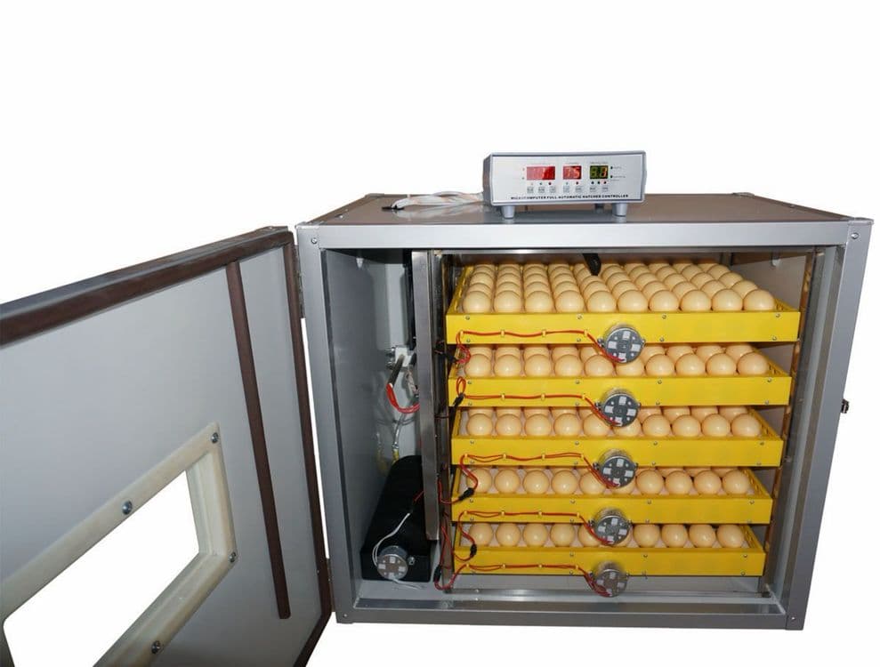 Inkuvator xizmati