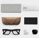 RayBan