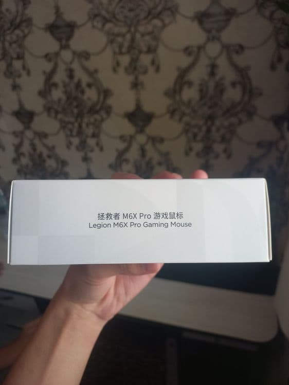 Lenovo Legion M6X Pro — 3