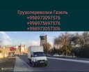 Gazel yuk tashish xizmati
