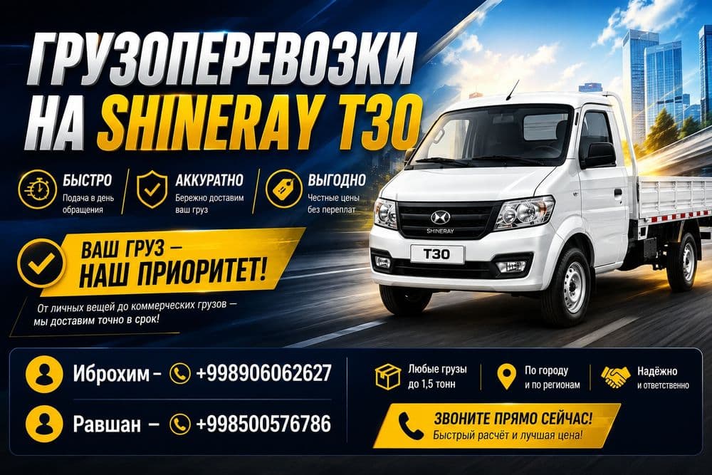 Грузоперевозки на SHINERAY T30