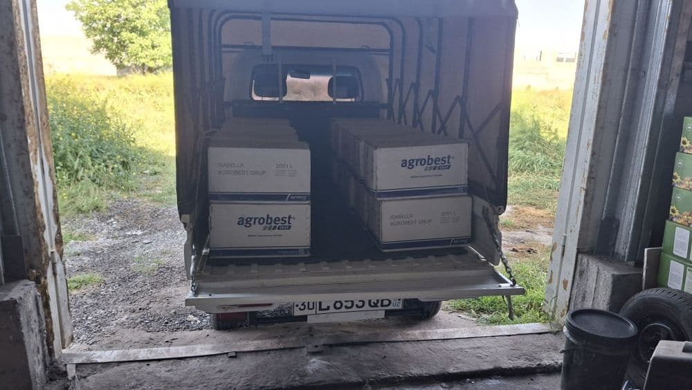 Labo Xizmati 24/7 — 3