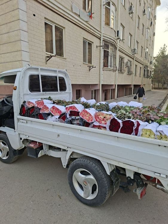 Labo samarqand 7 / 24 xizmata — 1