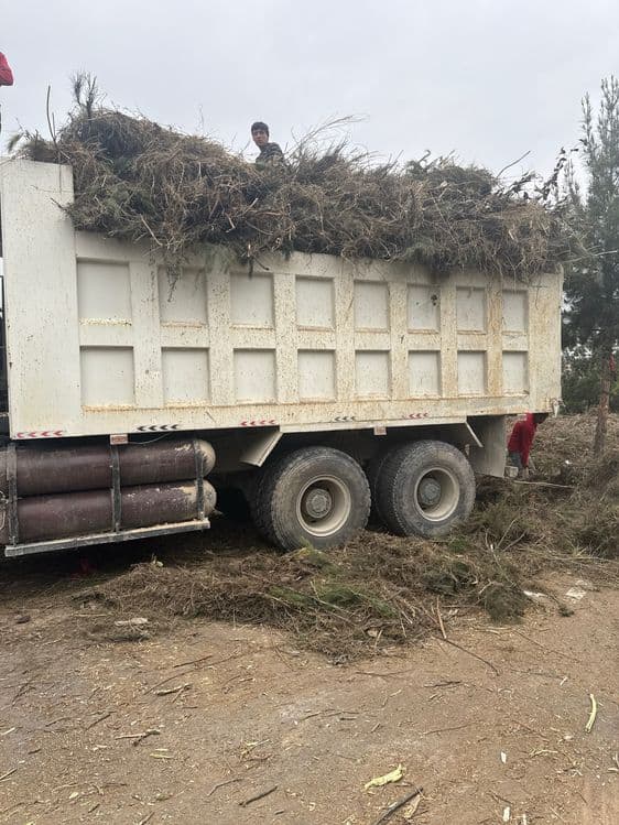 howo chakman kamaz xizmati — 4