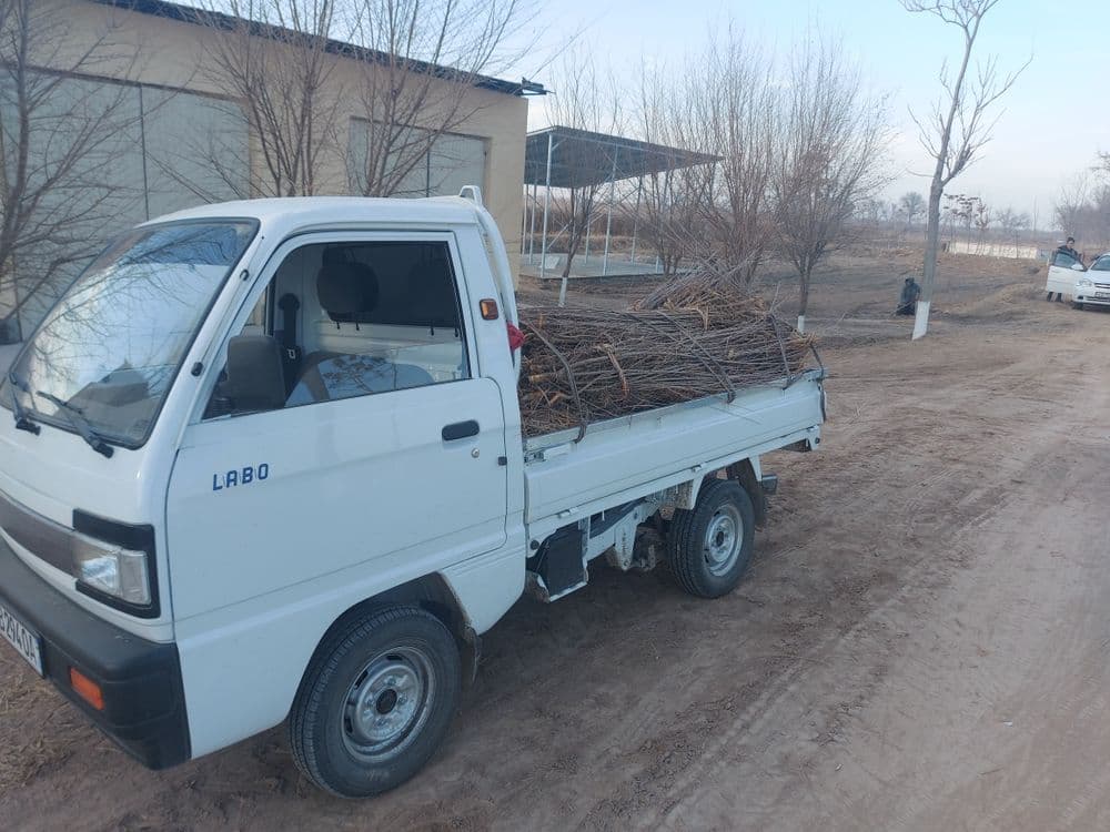 Labo xizmati kelishilgan holda — 2