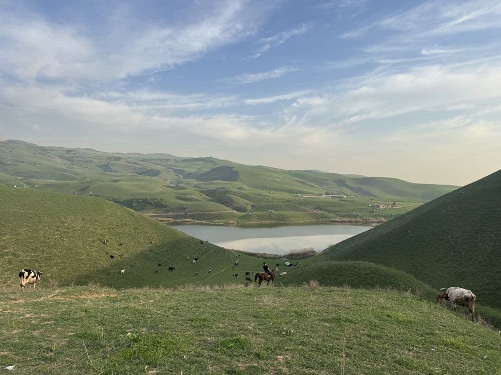 Mikroaftobus 17 kishilik soqoq krasnagor xumson achiq kol zarkent — 6