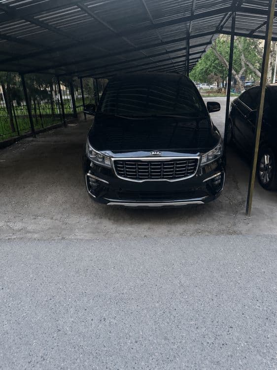 Поездка в горы, Экскурсии. Kia Carnival. — 1