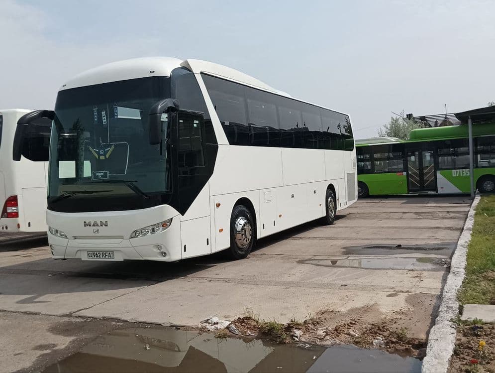Avtobus xizmati Man 47+1 — 2