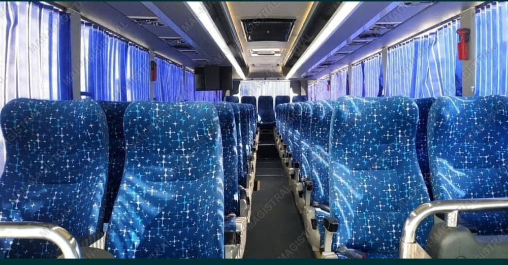 Avtobus xizmati Man 47+1 — 4