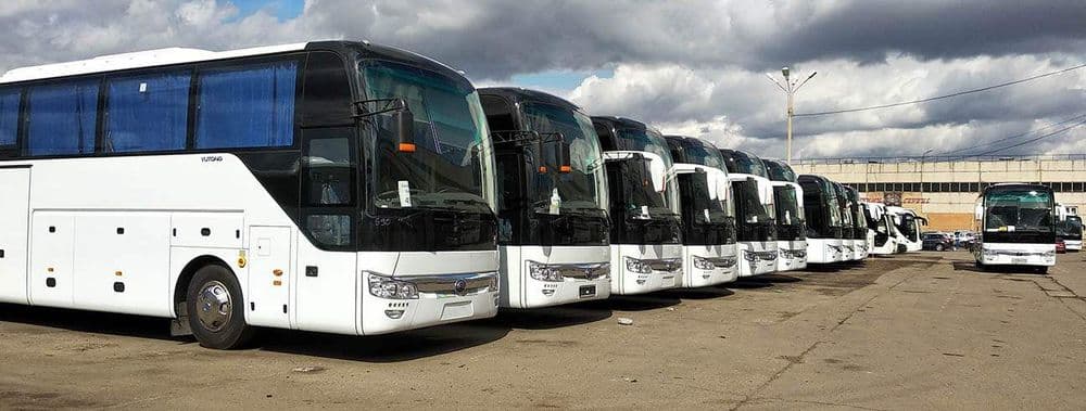 Заказ автобусов. Buyurtma avtobus. Yutong 51  место — 1