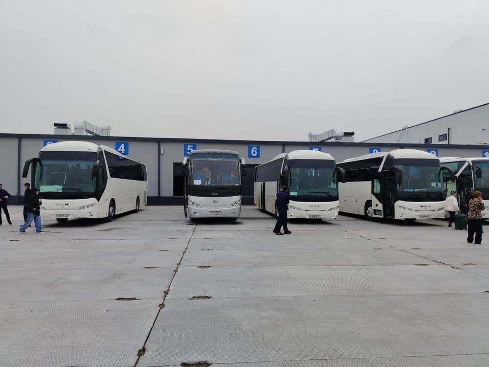 Заказ автобусов. Buyurtma avtobus. Yutong 51  место — 6