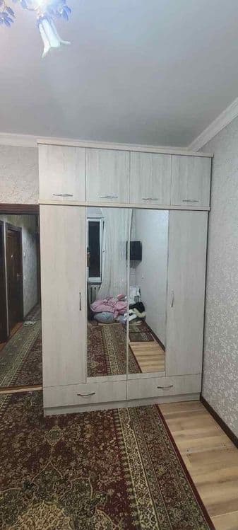 Шкаф Шкафы Shkaflar (250×160×50) — 2