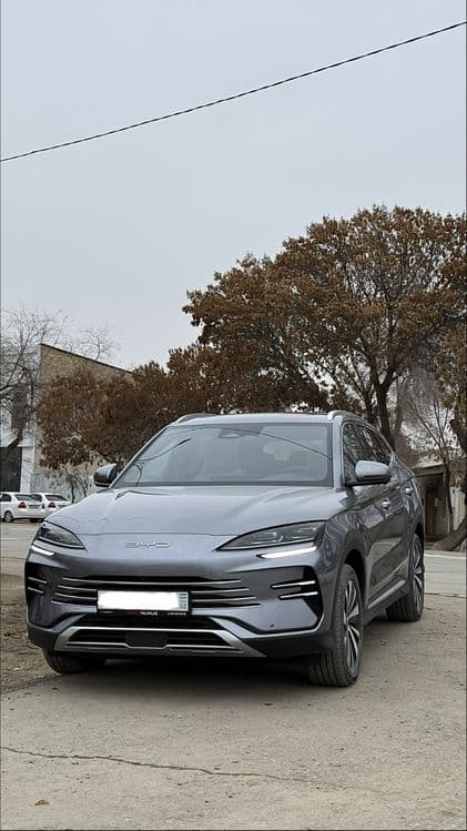 Local Driver / Private transfer — 1
