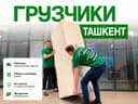 Грузчик/грузчики