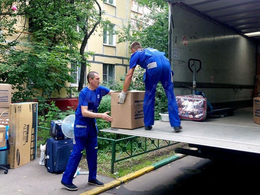 Грузчики по вызову — 5