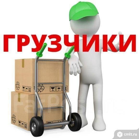 Грузчики по вызову — 1
