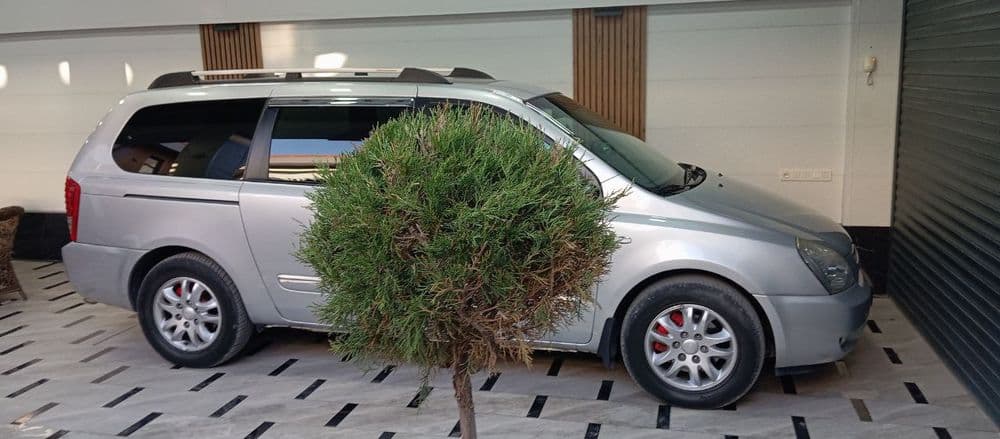Такси в Горы/Амирсой/Чимган/Чарвак/Бочка/Кумишкон Kia Carnival Минивен — 3