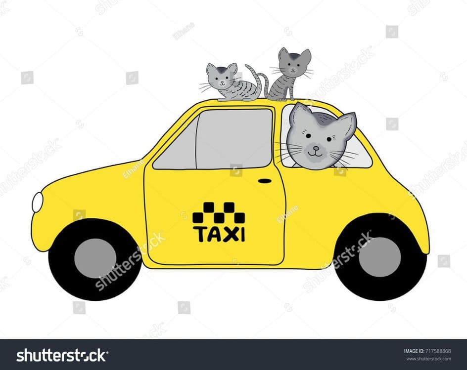 Зоотакси Ташкент 24/7 — 7