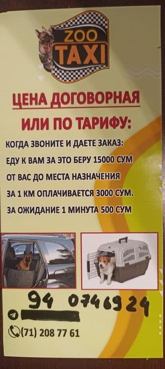 Зоотакси Ташкент 24/7 — 8