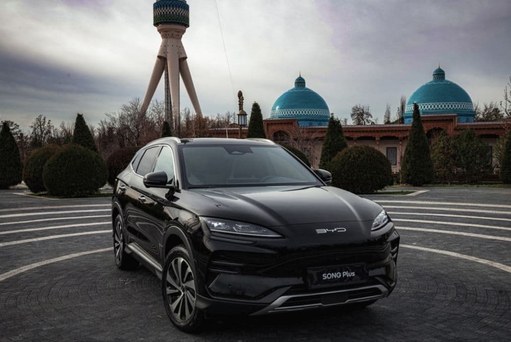 Заказ на любой торжество BYD Champion — 1