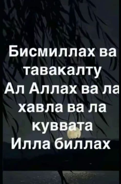 Трезвый водитель самарканд перегон 24/7 — 1