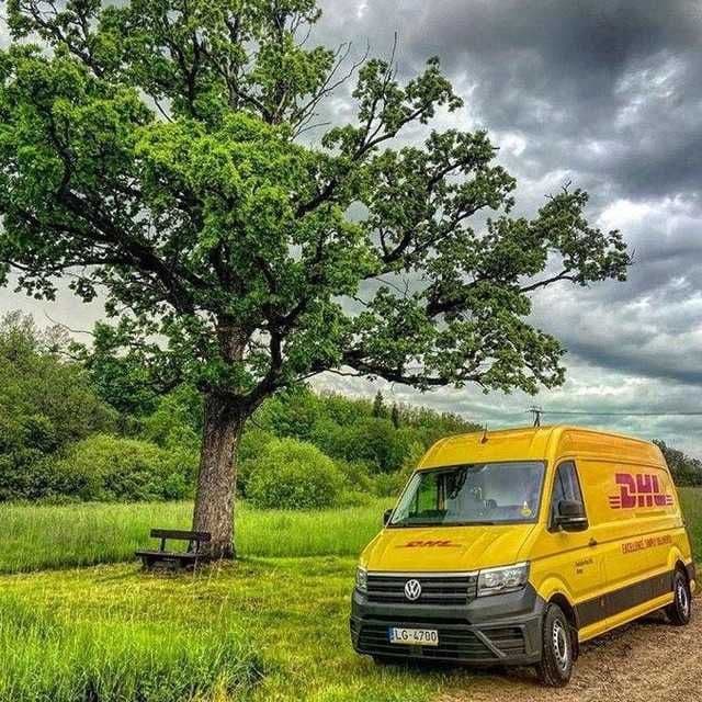 DHL EXPRESS Международная доставка — 3