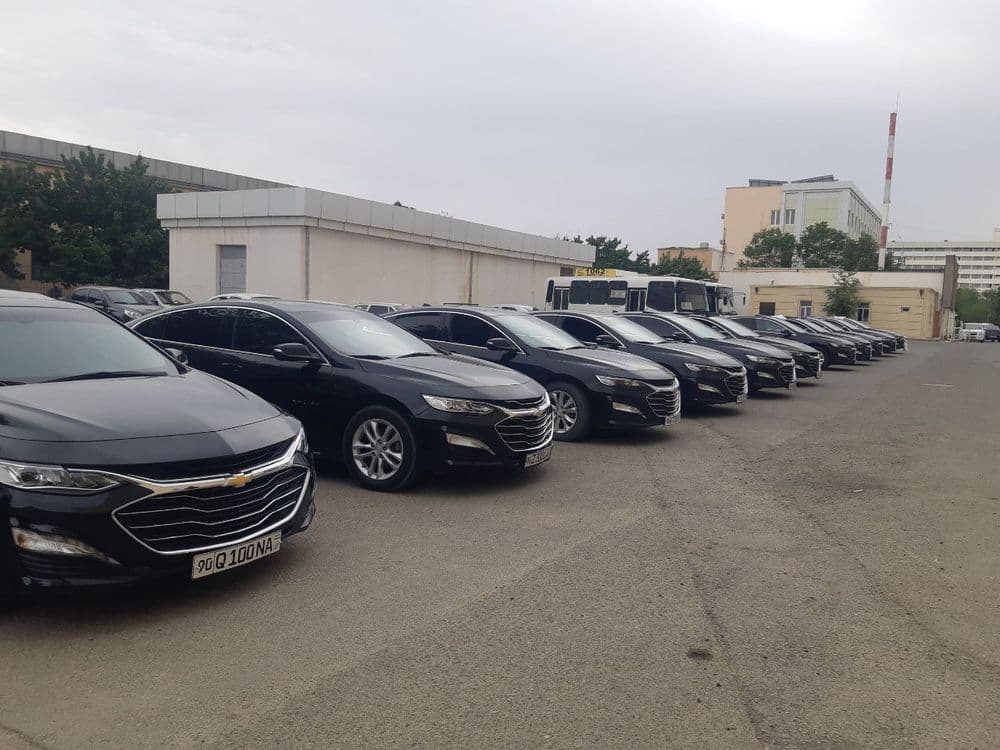Arzon narxda Malibu  Kartej xizmati. Xorazm Toy va marosimlari uchun — 3