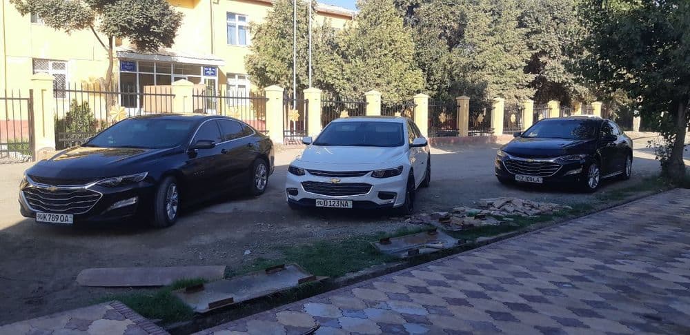 Arzon narxda Malibu  Kartej xizmati. Xorazm Toy va marosimlari uchun — 4