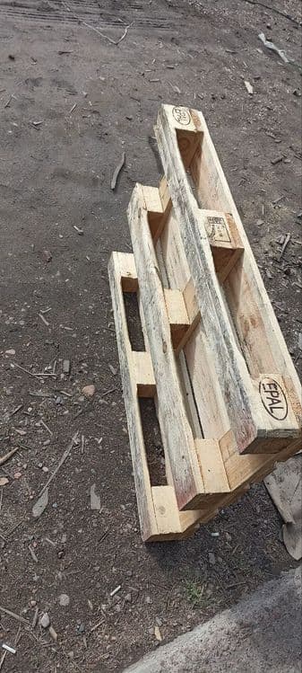 Расийиский падомлар хархил турдаги — 5