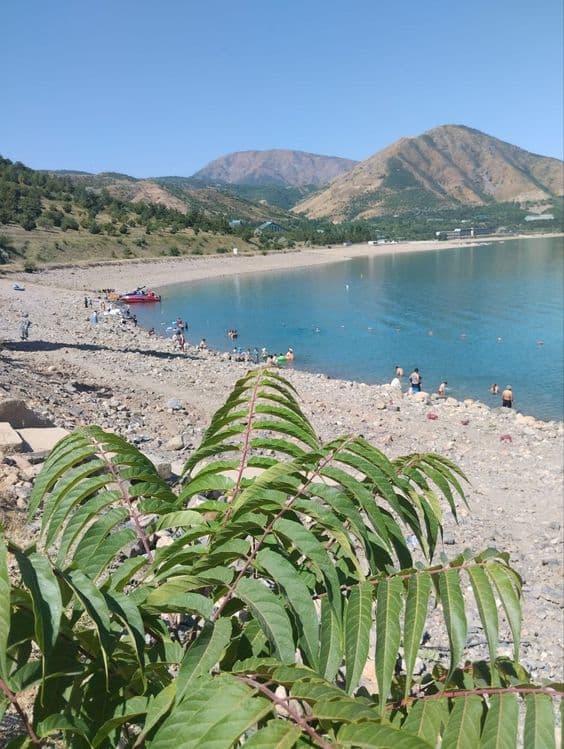 Bostonliq tumanida dam olishga tapchan — 2