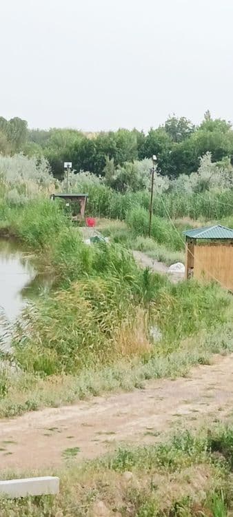 Рыбалка с огромной рыбой — 1