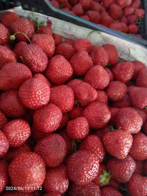 Экскурсии по Самарканде,Бухара,Шахрисабз, Ташкент,Пенджикент. — 3