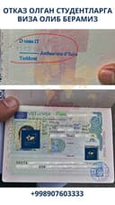 Учеба в России и Европе/ Студенческая виза