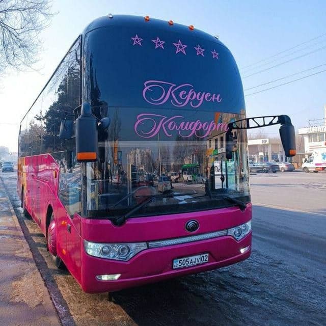 ХИТОЙИ ХОРГОЗ шахрига  рейсимиз бор спальный автобусда. Без виза. — 1