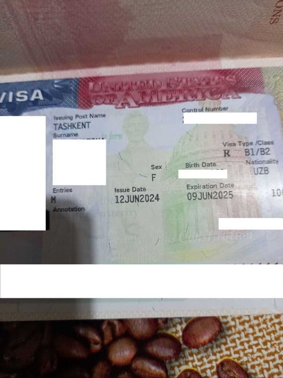 Визовая поддержка в США / Amerikaga viza olishda professional yordam — 6