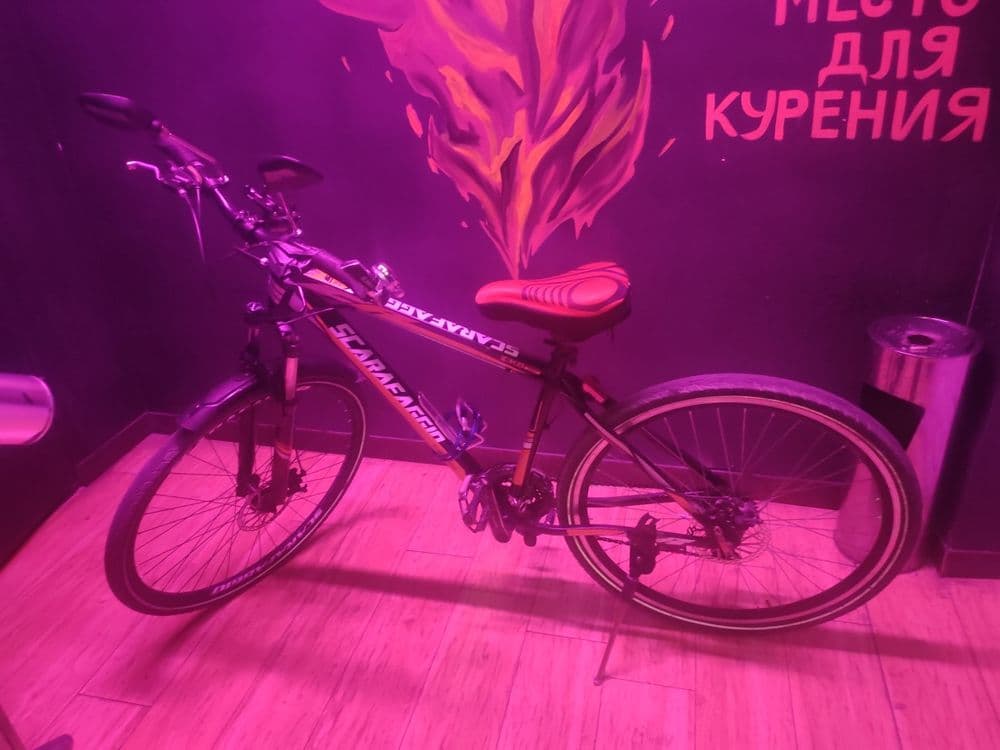 Velo  sotiadi  narxinkelishamza — 4