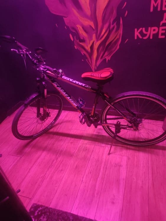 Velo  sotiadi  narxinkelishamza — 5