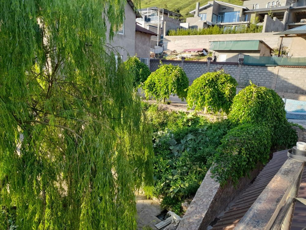 Хорошийодых гарантия — 2