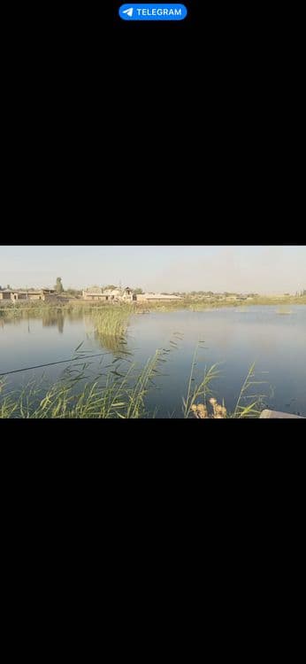 Рыба сазан, рыбалка. Топчан мангал. — 5