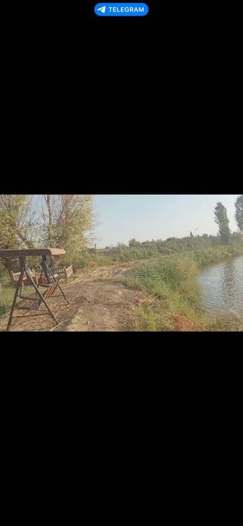Рыба сазан, рыбалка. Топчан мангал. — 6