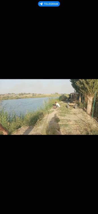 Рыба сазан, рыбалка. Топчан мангал. — 7